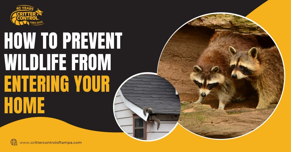 Prevent Wildlife from Entering