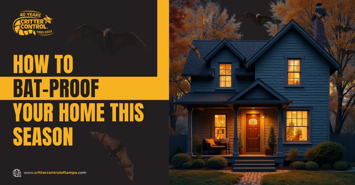 Bat Proof Your Home