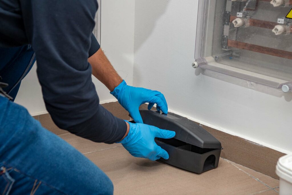 A man with blue safety gloves places a plastic mouse trap along the wall of a basement.