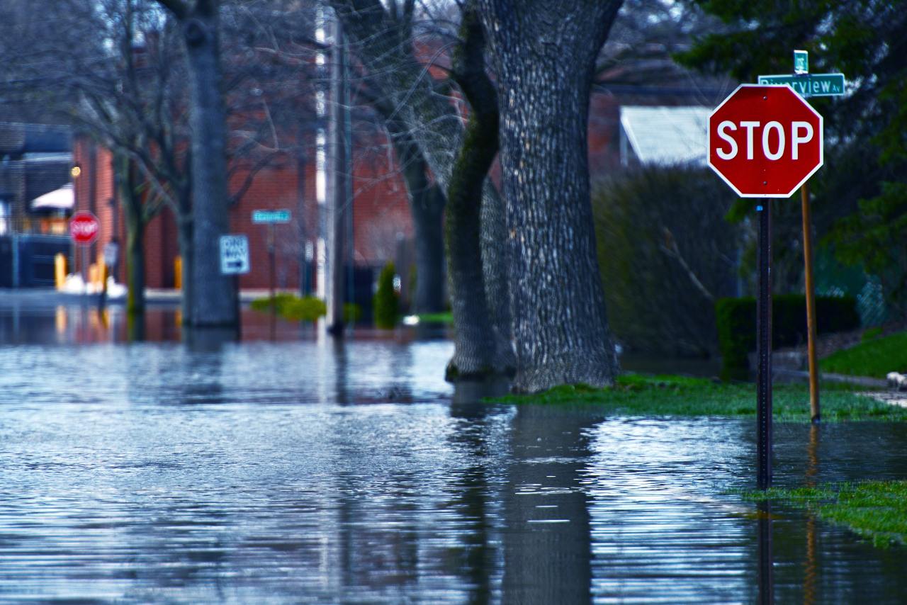 A neighborhood street is completely flooded, with trees, telephone poles, and a red stop sign reflected in its water.