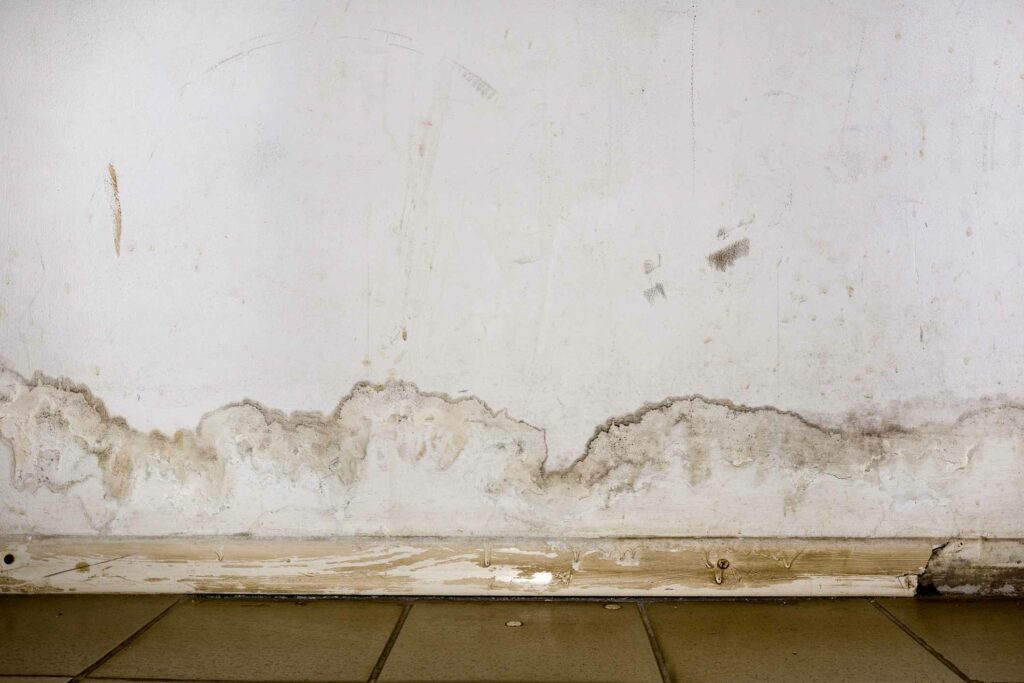 A white wall is covered in black and brown mold stains caused by flooding. The green floor is covered with water.